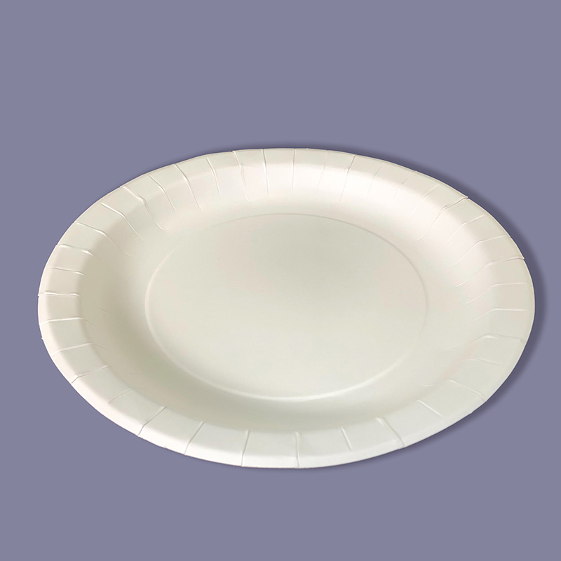 White Plate 9in