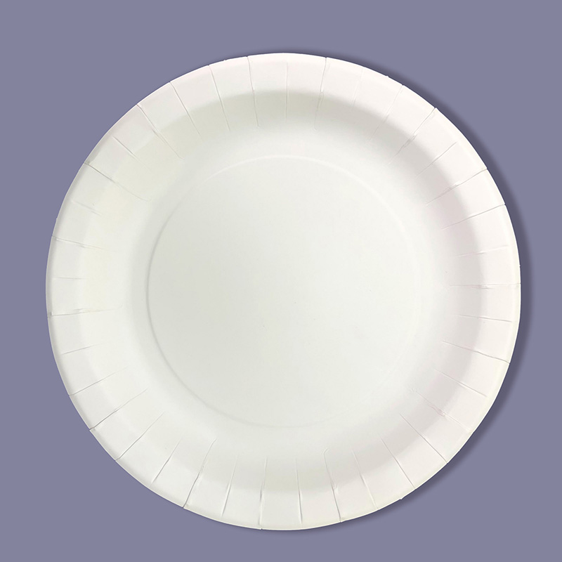 White Plate 9in